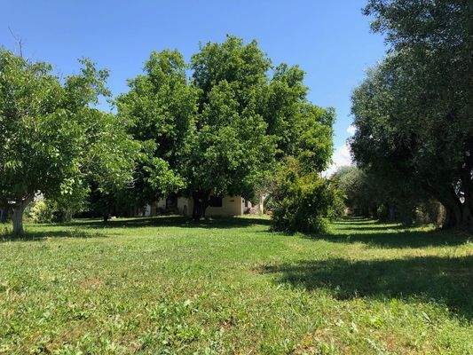 21 garden south-west.jpg