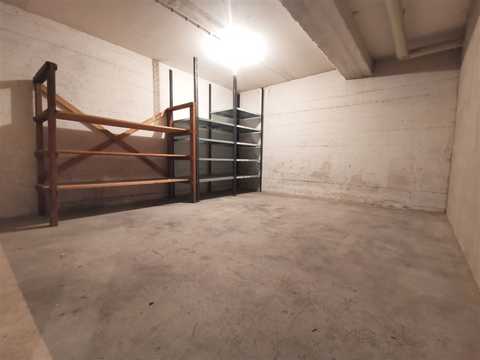 Singen Halle, Singen Hallenfläche