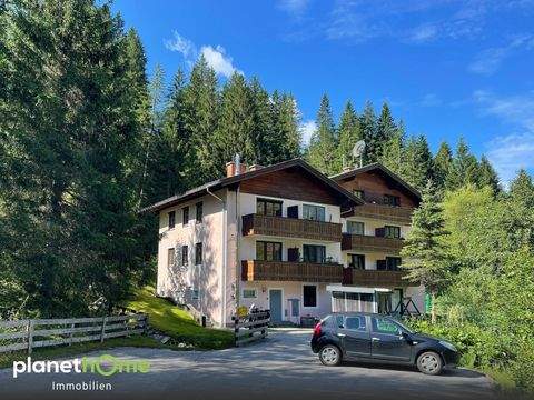 Filzmoos Wohnungen, Filzmoos Wohnung kaufen
