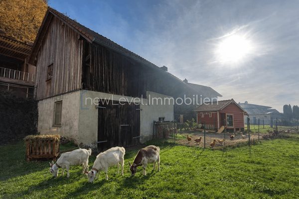 Platz für Ihre Tiere (KI visualisiert)