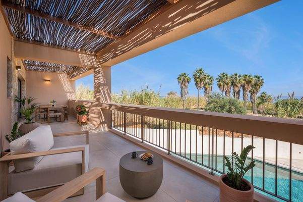 Olive Courtyard Collection