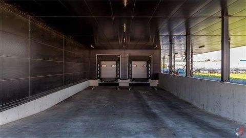 Langen Halle, Langen Hallenfläche