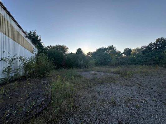 WhatsApp Image 2025-01-29 at 12.02.51 (13).jpeg