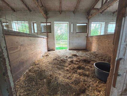 Geräumige Boxen - 3,5x4,0m