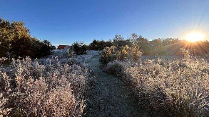 Blick vom Bach zum Haus