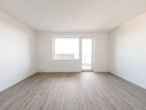 Dresden-Pirnaische Vorstadt Wohnungen, Dresden-Pirnaische Vorstadt Wohnung mieten