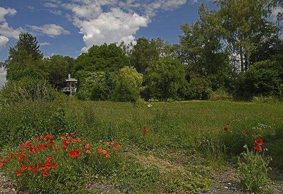 Grundstück im Frühling