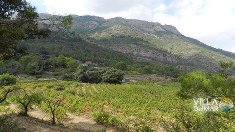 Jalón Grundstücke, Jalón Grundstück kaufen