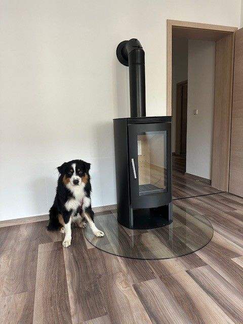 Chemnitz / Altendorf Wohnungen, Chemnitz / Altendorf Wohnung mieten