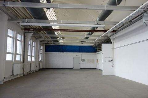 Berlin Halle, Berlin Hallenfläche