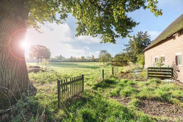 otionale Flächen Süden.jpg