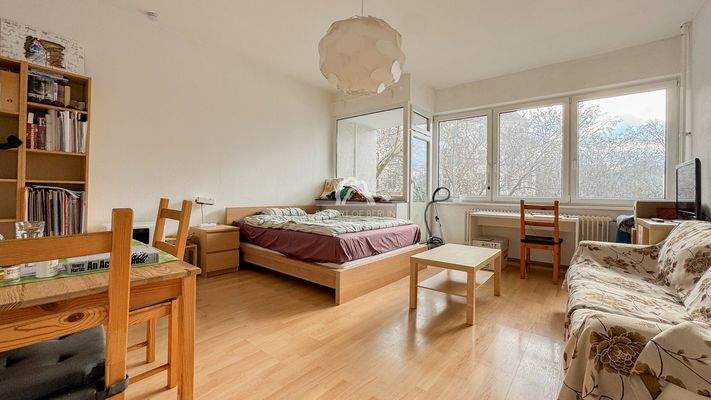 Wohn- und Schlafzimmer / living- and bedroom