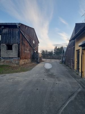 20240423_062425.jpg