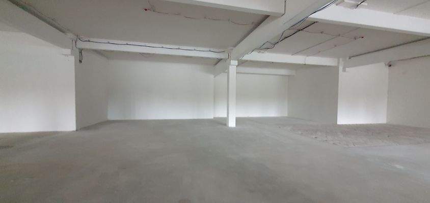 20230727_110317_resized