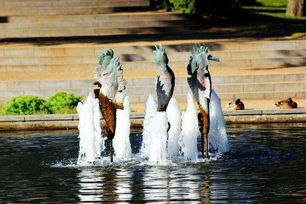 Timmendorfer Strand - Seepferdchen