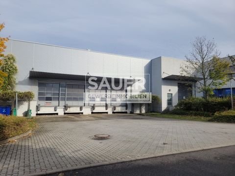 Großbeeren Halle, Großbeeren Hallenfläche