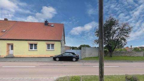 Aschersleben Häuser, Aschersleben Haus kaufen