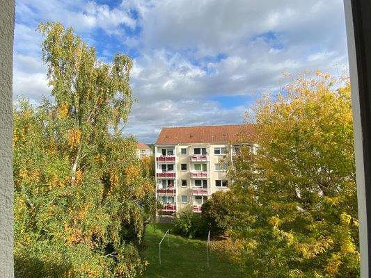 Blick aus der Küche