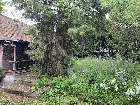 Garten hinter dem Haus