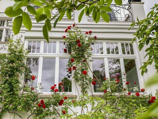 Wintergarten im Sommer