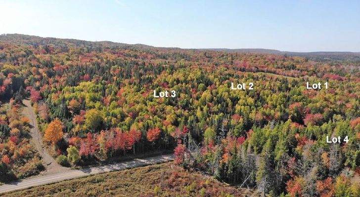 Nova Scotia - West Side Country Harbour - Preiswer