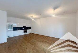 Wohn-/Esszimmer inkl. Küche