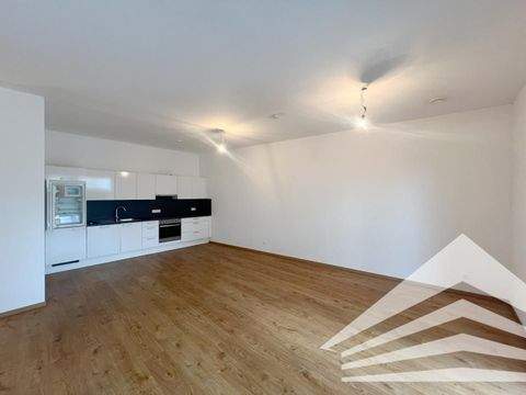 Linz Wohnungen, Linz Wohnung mieten