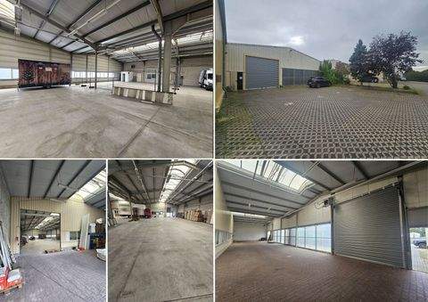 Markkleeberg Halle, Markkleeberg Hallenfläche