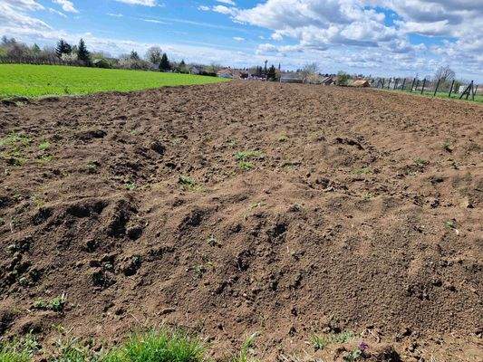 20240328_121001 (1).jpg