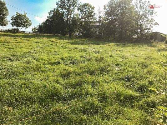 Grundstück, Arnsfeld