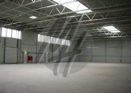 INFOS UNTER: 06171-586000