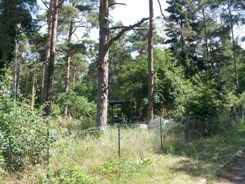 Heidesee Grundstücke, Heidesee Grundstück kaufen