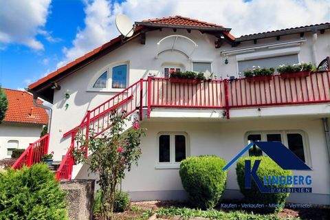 Elsteraue Häuser, Elsteraue Haus kaufen