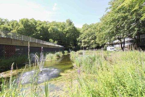 Köln Wohnungen, Köln Wohnung kaufen