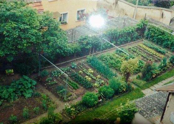 Garten vor einigen Jahren