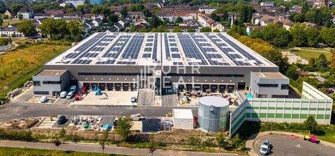 Gelsenkirchen Halle, Gelsenkirchen Hallenfläche