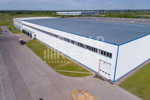 Viersen Halle, Viersen Hallenfläche