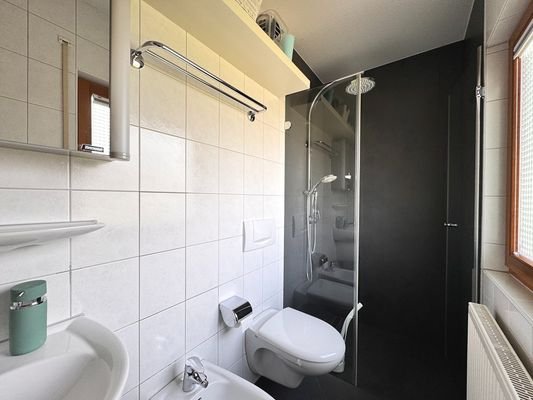 GästeWC mit Dusche im Eingangsbereich (erneuert)