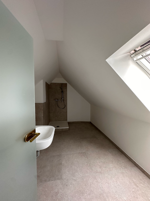 Dachspitz Duschbad_2