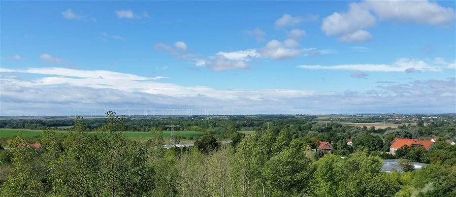 Ausblick ins Grüne