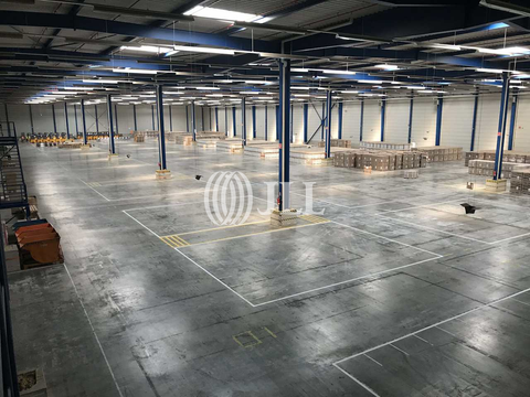 Erfurt Halle, Erfurt Hallenfläche