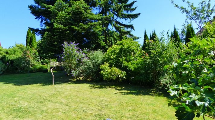 Blick in den Garten