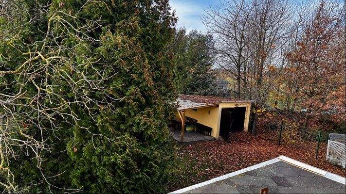 Blick vom OG in den Garten