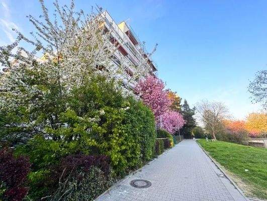 Eingang auf der Rückseite