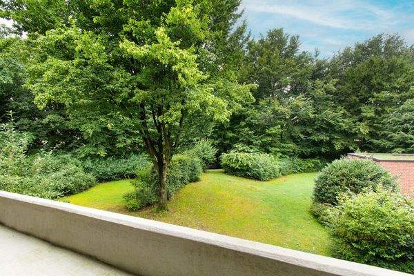 Grüner Blick vom Balkon ins Landschaftsschutzgebiet