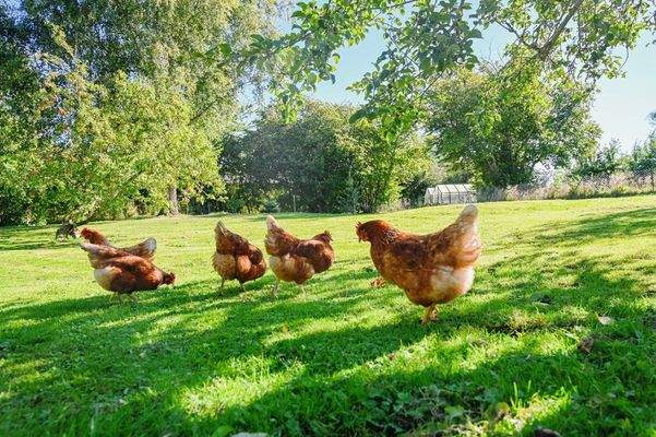 Soll ich Euch zeigen wo wir wohnen? Kommt einfach mit!