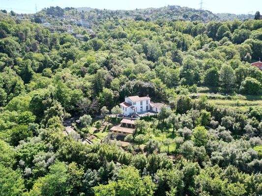 DJI_0539 (Kopie).JPG