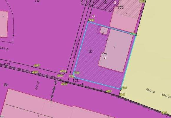 Auszug aus Flächenwidmungsplan