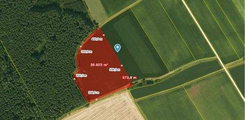 Ichenhausen / Autenried Bauernhöfe, Landwirtschaft, Ichenhausen / Autenried Forstwirtschaft