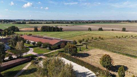 Potsdam Bauernhöfe, Landwirtschaft, Potsdam Forstwirtschaft